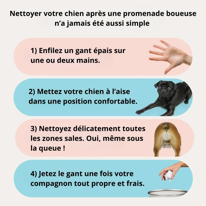 Gants hygiéniques sans rinçage