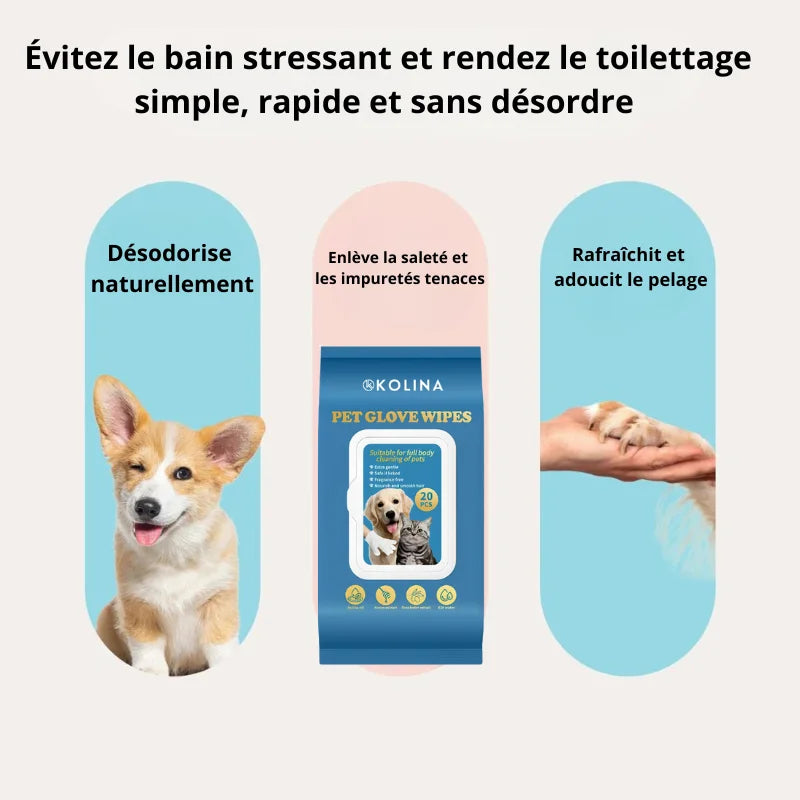 Gants hygiéniques sans rinçage