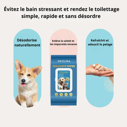 Gants hygiéniques sans rinçage
